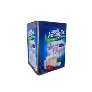 TAM YAĞLI TENEKE BEYAZ PEYNİRİ